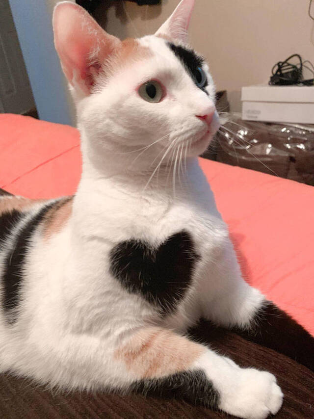 Bildschirmarbeiter - Picdump 09.08.2019 - NACHSCHLAG