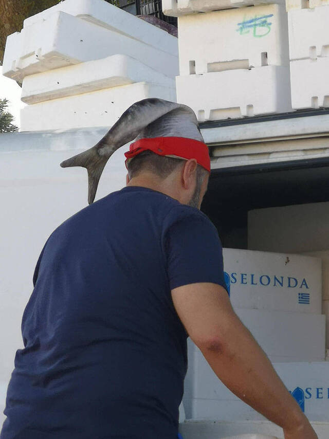 Bildschirmarbeiter - Picdump 09.08.2019 - NACHSCHLAG