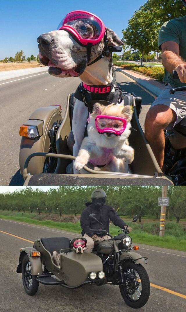 Bildschirmarbeiter - Picdump 16.08.2019