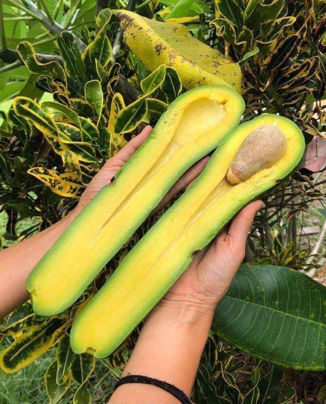 Bildschirmarbeiter - Picdump 16.08.2019