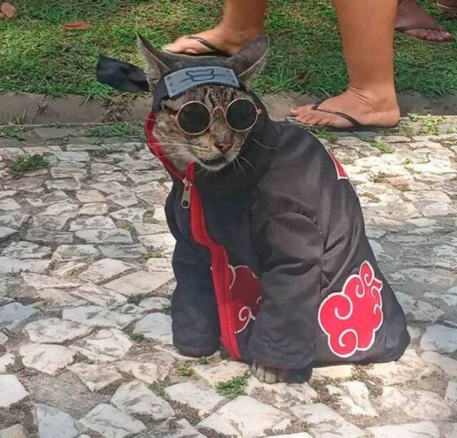 Bildschirmarbeiter - Picdump 16.08.2019