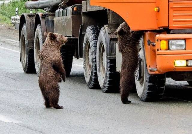 Bildschirmarbeiter - Picdump 16.08.2019