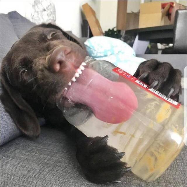 Bildschirmarbeiter - Picdump 16.08.2019