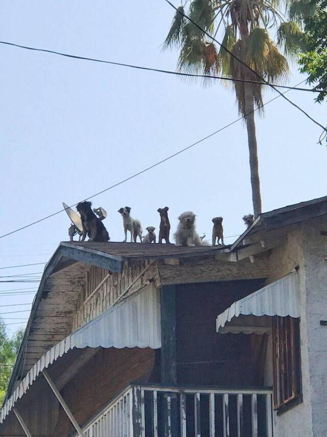 Bildschirmarbeiter - Picdump 16.08.2019