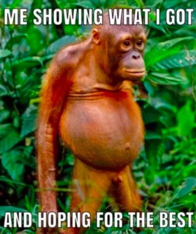 Bildschirmarbeiter - Picdump 16.08.2019