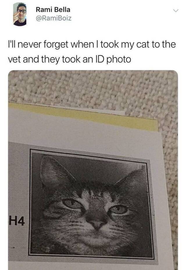 Bildschirmarbeiter - Picdump 16.08.2019