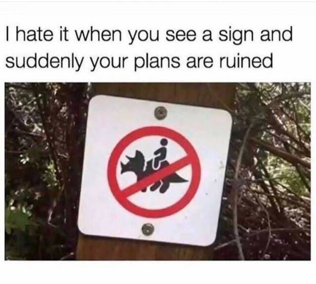 Bildschirmarbeiter - Picdump 16.08.2019