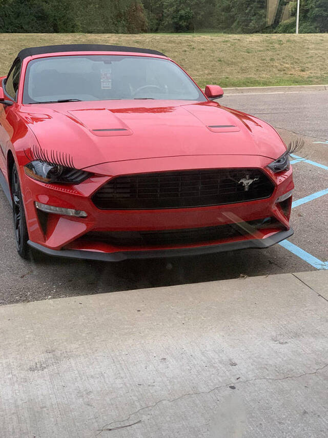 Bildschirmarbeiter - Picdump 16.08.2019