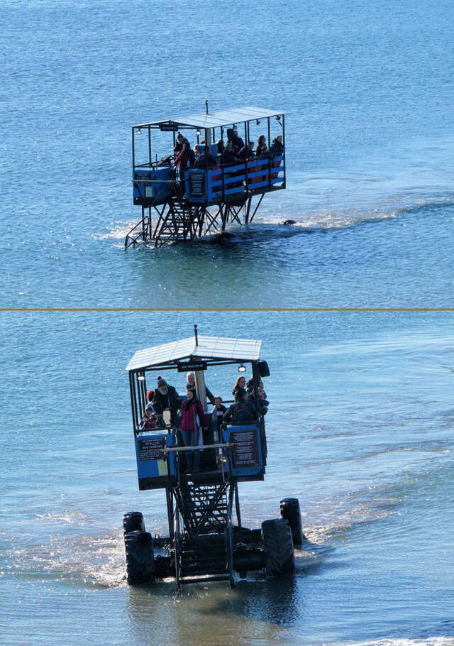 Bildschirmarbeiter - Picdump 16.08.2019