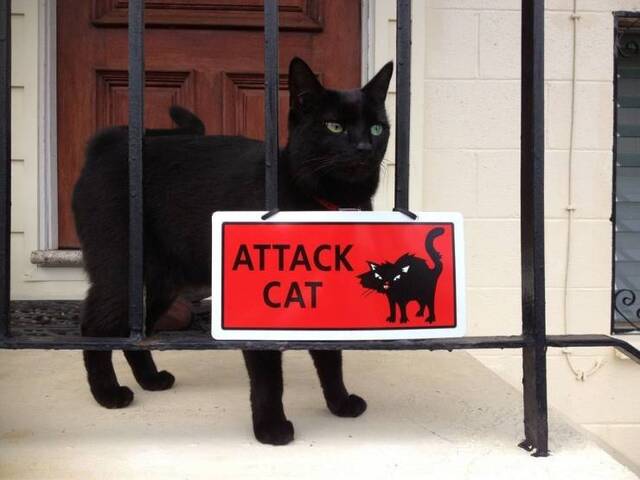 Bildschirmarbeiter - Picdump 30.08.2019 - NACHSCHLAG