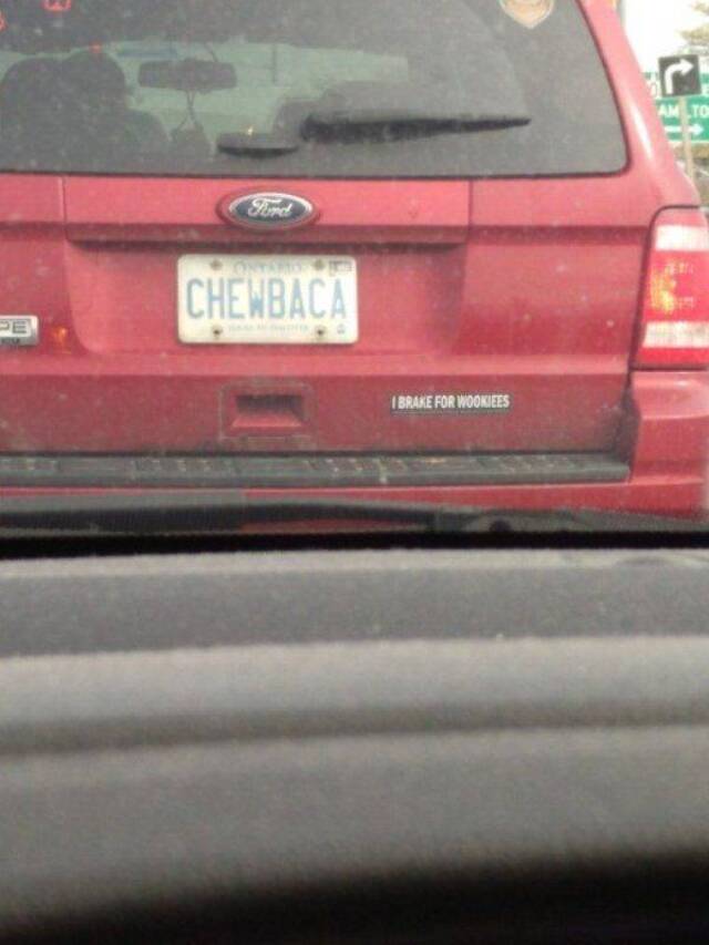 Bildschirmarbeiter - Picdump 30.08.2019 - NACHSCHLAG