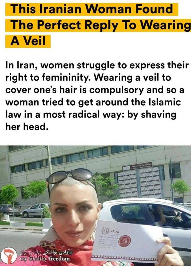 Bildschirmarbeiter - Picdump 30.08.2019 - NACHSCHLAG