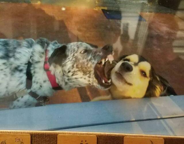 Bildschirmarbeiter - Picdump 30.08.2019 - NACHSCHLAG