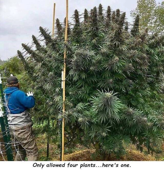 Bildschirmarbeiter - Picdump 30.08.2019 - NACHSCHLAG