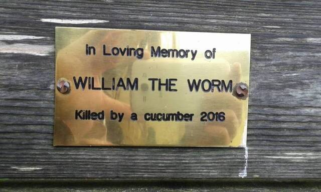 Bildschirmarbeiter - Picdump 30.08.2019 - NACHSCHLAG