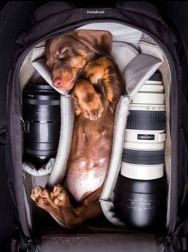 Bildschirmarbeiter - Picdump 30.08.2019 - NACHSCHLAG