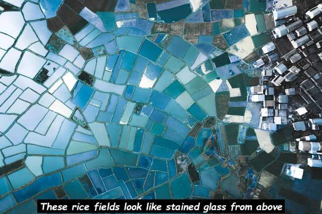 Bildschirmarbeiter - Picdump 30.08.2019 - NACHSCHLAG