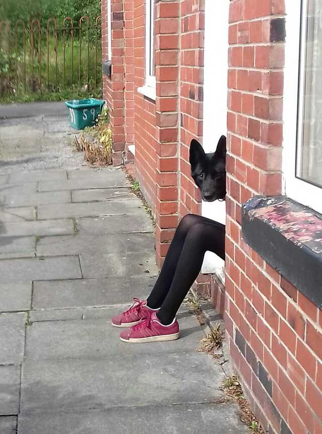 Bildschirmarbeiter - Picdump 13.09.2019