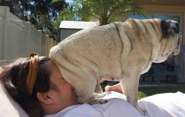 Bildschirmarbeiter - Picdump 13.09.2019