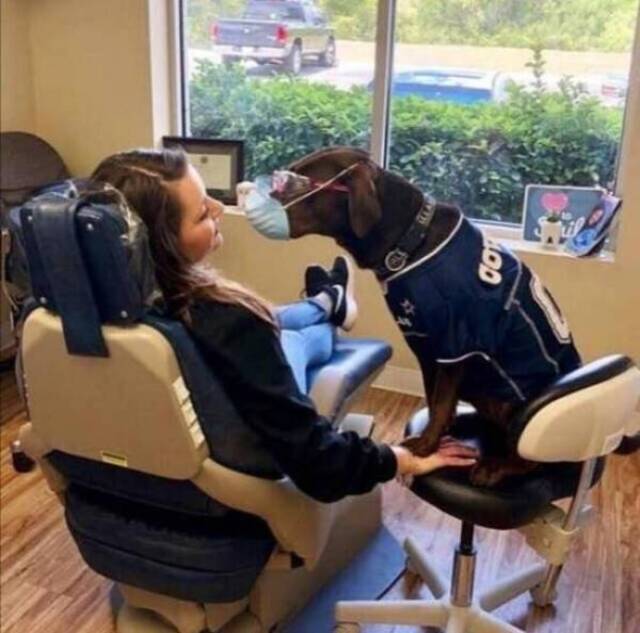 Bildschirmarbeiter - Picdump 13.09.2019