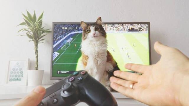 Bildschirmarbeiter - Picdump 13.09.2019