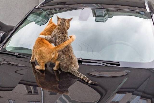 Bildschirmarbeiter - Picdump 13.09.2019