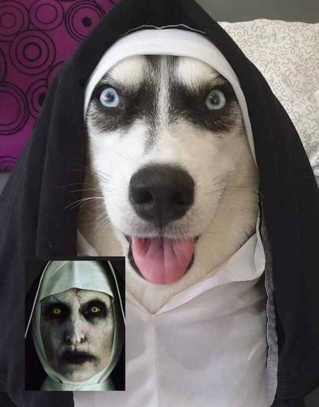 Bildschirmarbeiter - Picdump 13.09.2019