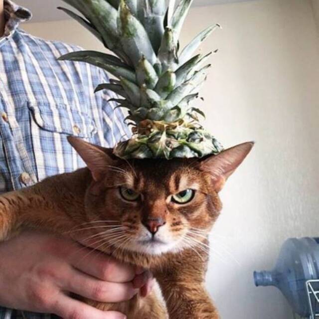 Bildschirmarbeiter - Picdump 13.09.2019