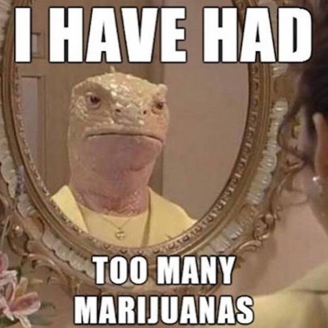 Bildschirmarbeiter - Picdump 13.09.2019