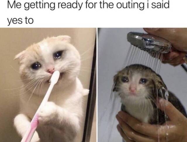 Bildschirmarbeiter - Picdump 13.09.2019