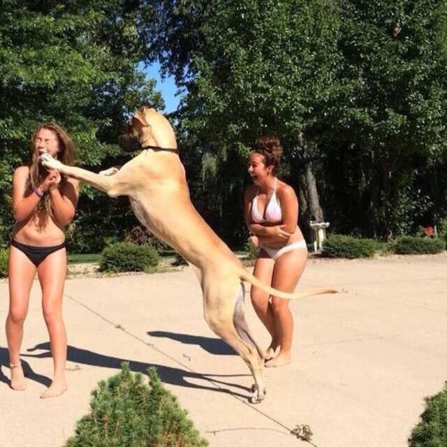 NACHSCHLAG - Bildschirmarbeiter - Picdump 20.09.2019