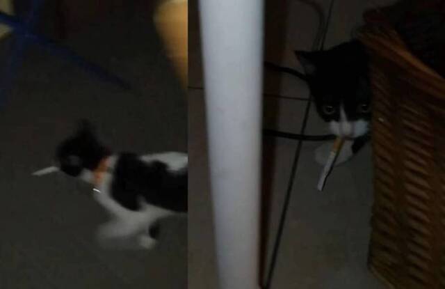 NACHSCHLAG - Bildschirmarbeiter - Picdump 20.09.2019