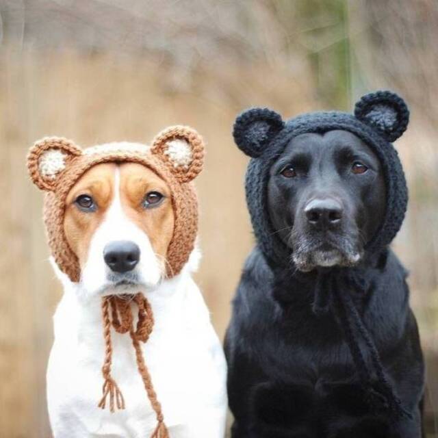 NACHSCHLAG - Bildschirmarbeiter - Picdump 20.09.2019