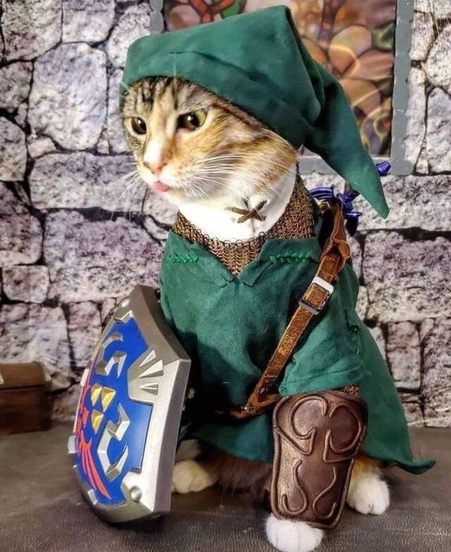 NACHSCHLAG - Bildschirmarbeiter - Picdump 20.09.2019