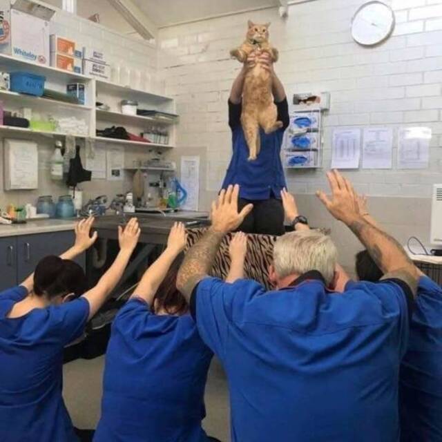 NACHSCHLAG - Bildschirmarbeiter - Picdump 20.09.2019