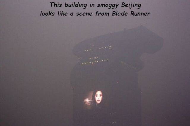 NACHSCHLAG - Bildschirmarbeiter - Picdump 20.09.2019