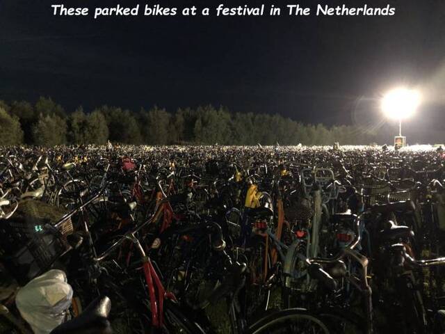 NACHSCHLAG - Bildschirmarbeiter - Picdump 20.09.2019