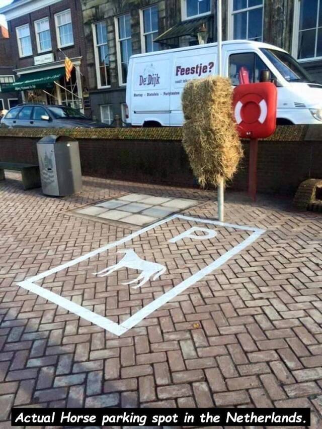 NACHSCHLAG - Bildschirmarbeiter - Picdump 20.09.2019