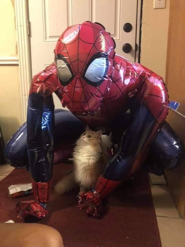 NACHSCHLAG - Bildschirmarbeiter - Picdump 20.09.2019