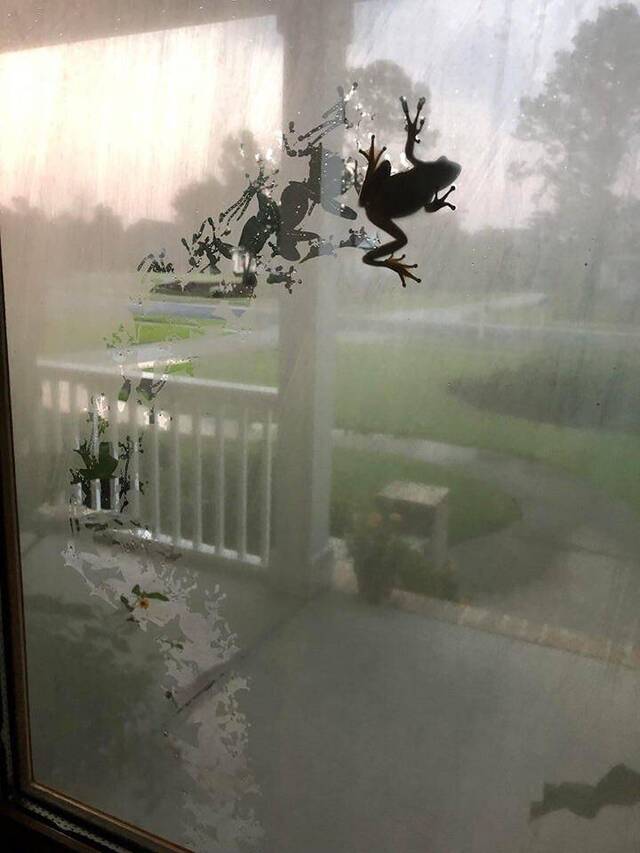 NACHSCHLAG - Bildschirmarbeiter - Picdump 20.09.2019