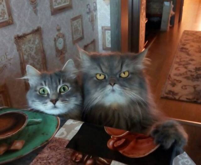 NACHSCHLAG - Bildschirmarbeiter - Picdump 20.09.2019