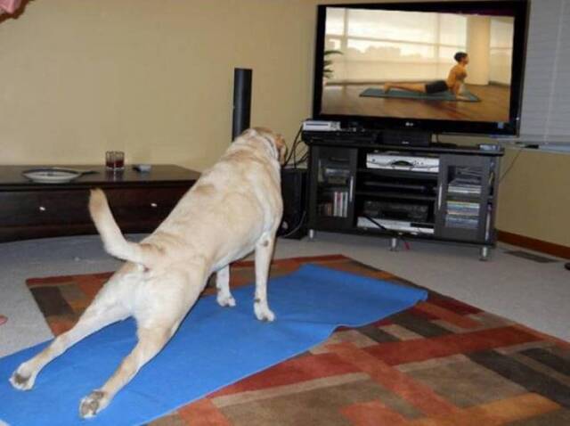 NACHSCHLAG - Bildschirmarbeiter - Picdump 20.09.2019