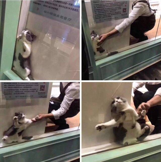 NACHSCHLAG - Bildschirmarbeiter - Picdump 20.09.2019