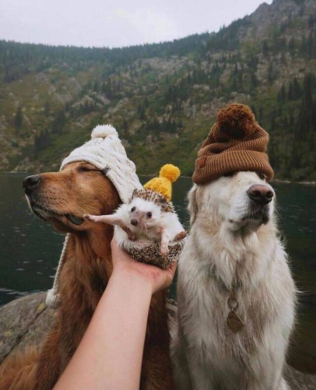 NACHSCHLAG - Bildschirmarbeiter - Picdump 20.09.2019