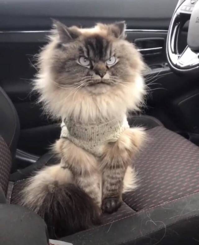 NACHSCHLAG - Bildschirmarbeiter - Picdump 20.09.2019