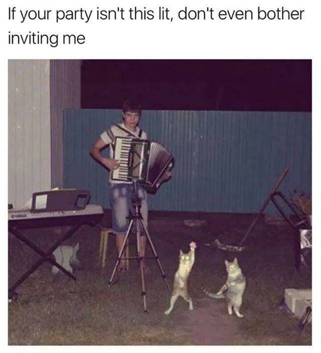 NACHSCHLAG - Bildschirmarbeiter - Picdump 20.09.2019