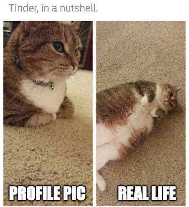 NACHSCHLAG - Bildschirmarbeiter - Picdump 20.09.2019