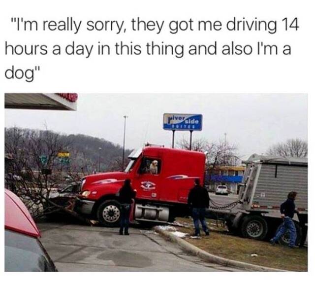 NACHSCHLAG - Bildschirmarbeiter - Picdump 20.09.2019