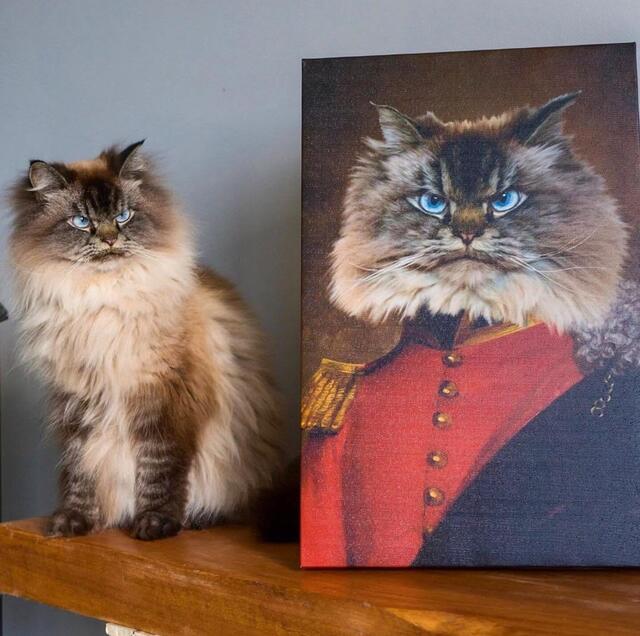 Bildschirmarbeiter - Picdump 11.10.2019