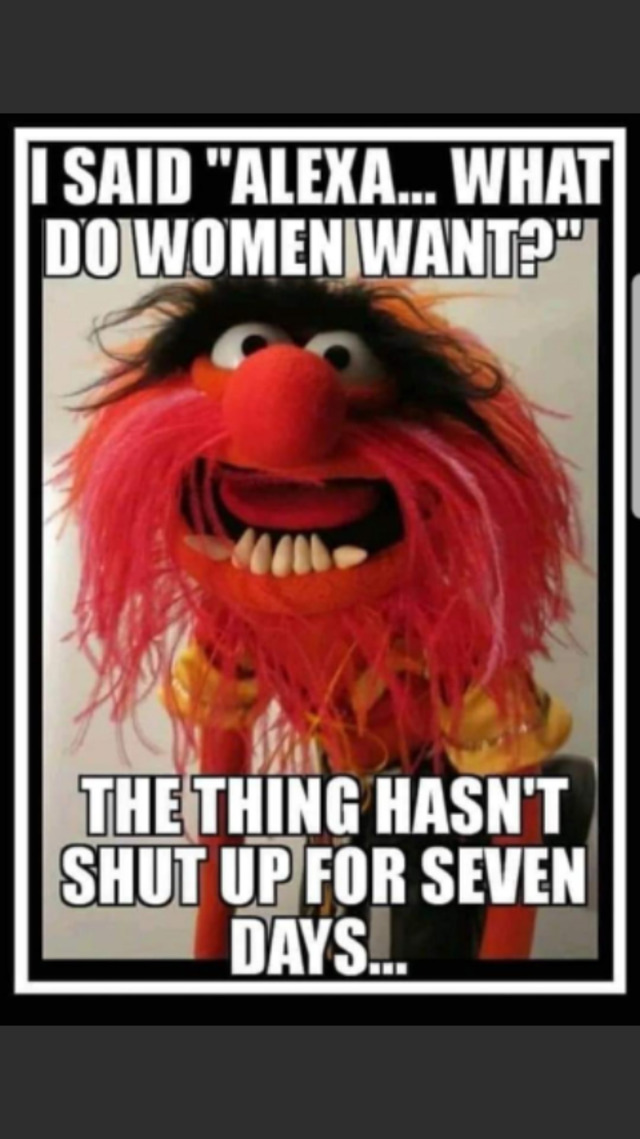 Bildschirmarbeiter - Picdump 11.10.2019